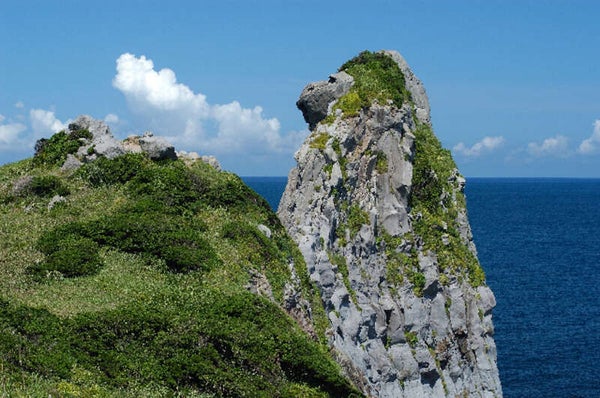 【秋田空港発】 旨いもんも満喫、行き先も味もサプライズ! 絶景&口福の9つの島旅ミステリー4日間2